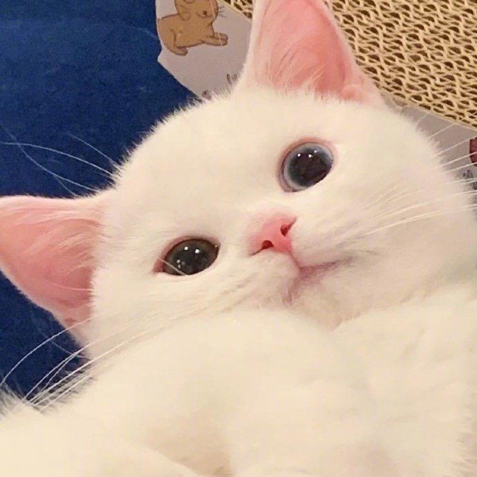 尤达的麻麻