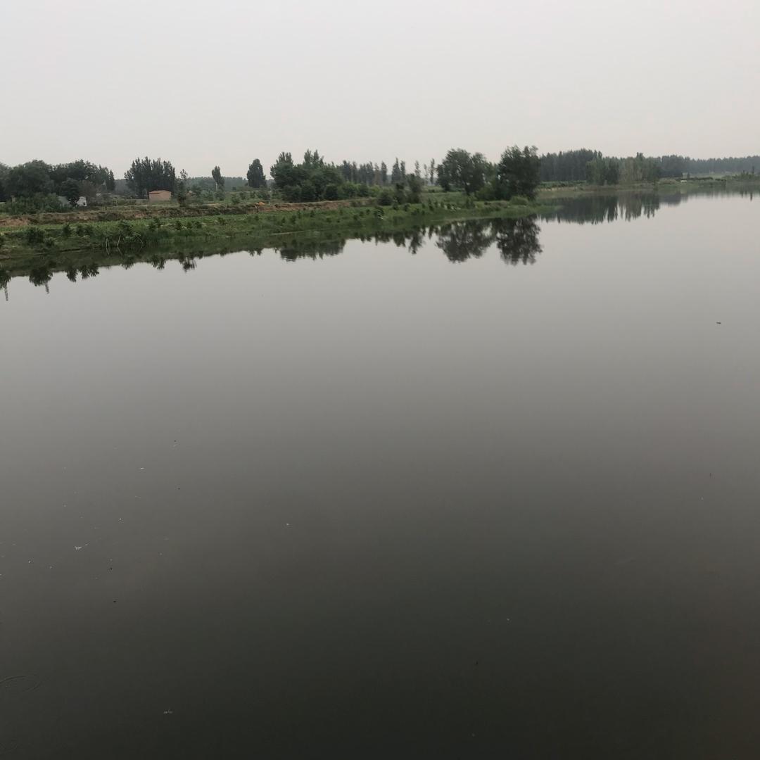 无悔人生