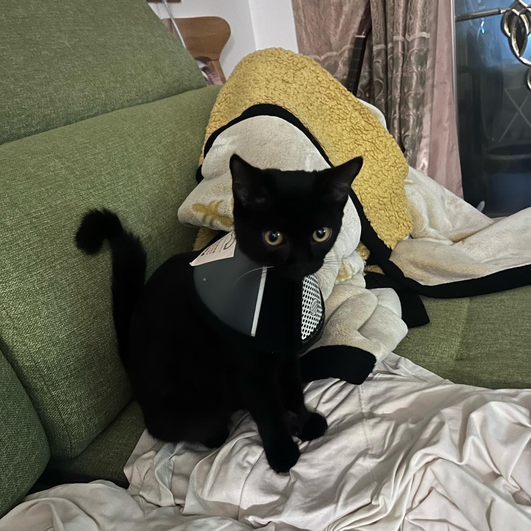 中国制造网~泽仁