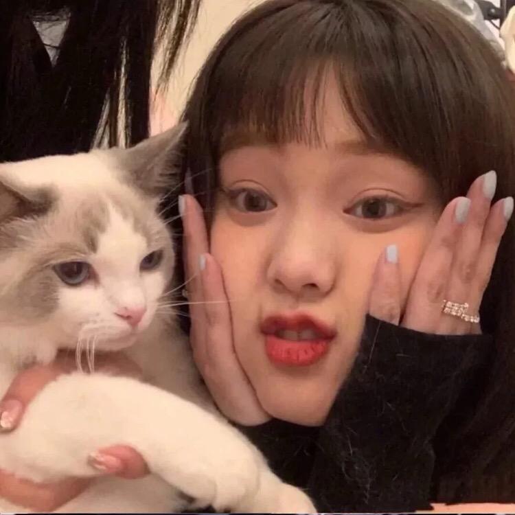 啵啵猫.