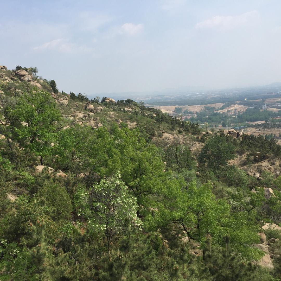 初吻给了红塔山