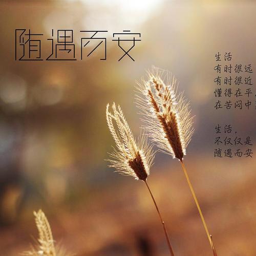 随遇而安～