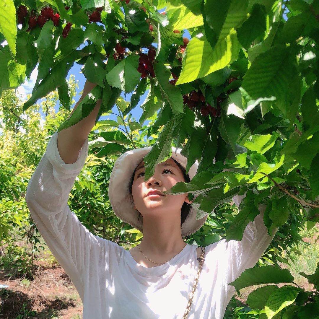 樱桃小丸子🍒🍒