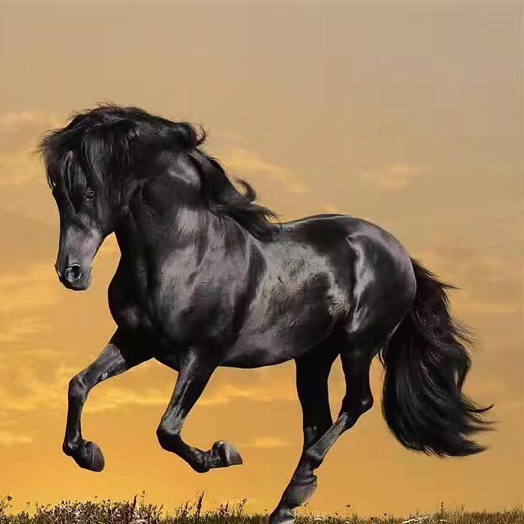 推拉门王子