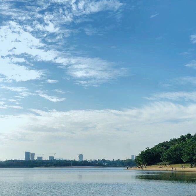 一浅清风