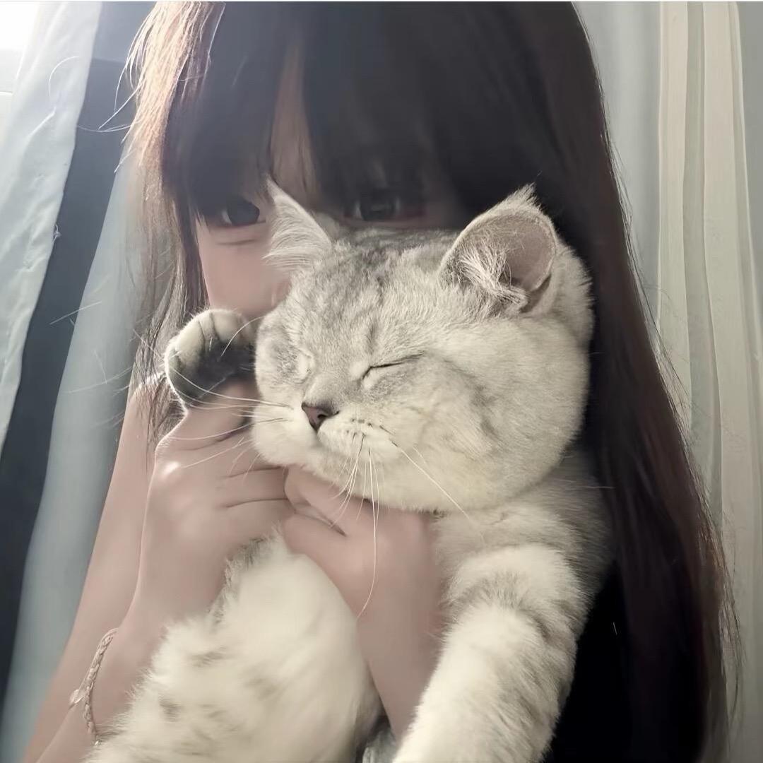 Gilovc✨