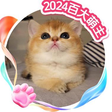 牛奶是只猫@抖音