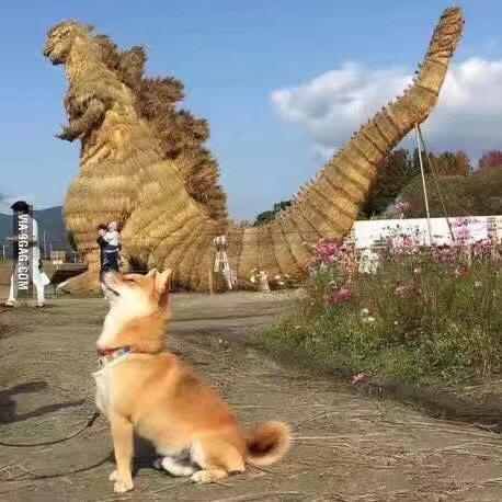 小赵今晚不买单🌈