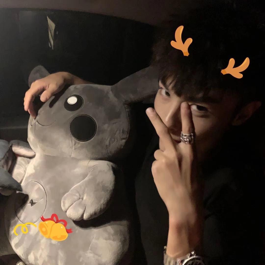 小达崽