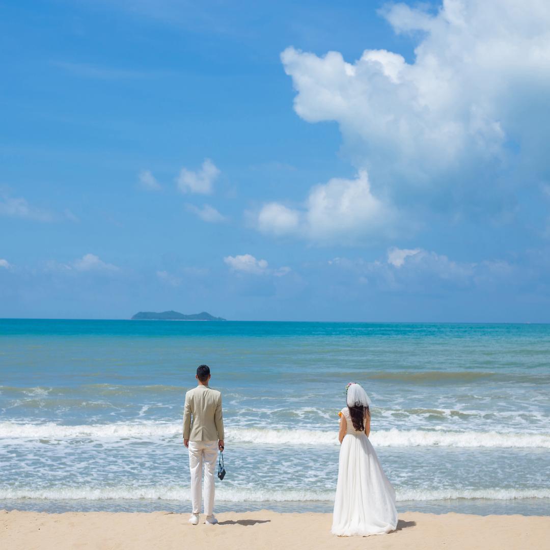 张小姐🤵🏻‍♀️的帅比大🐷🐷🐷