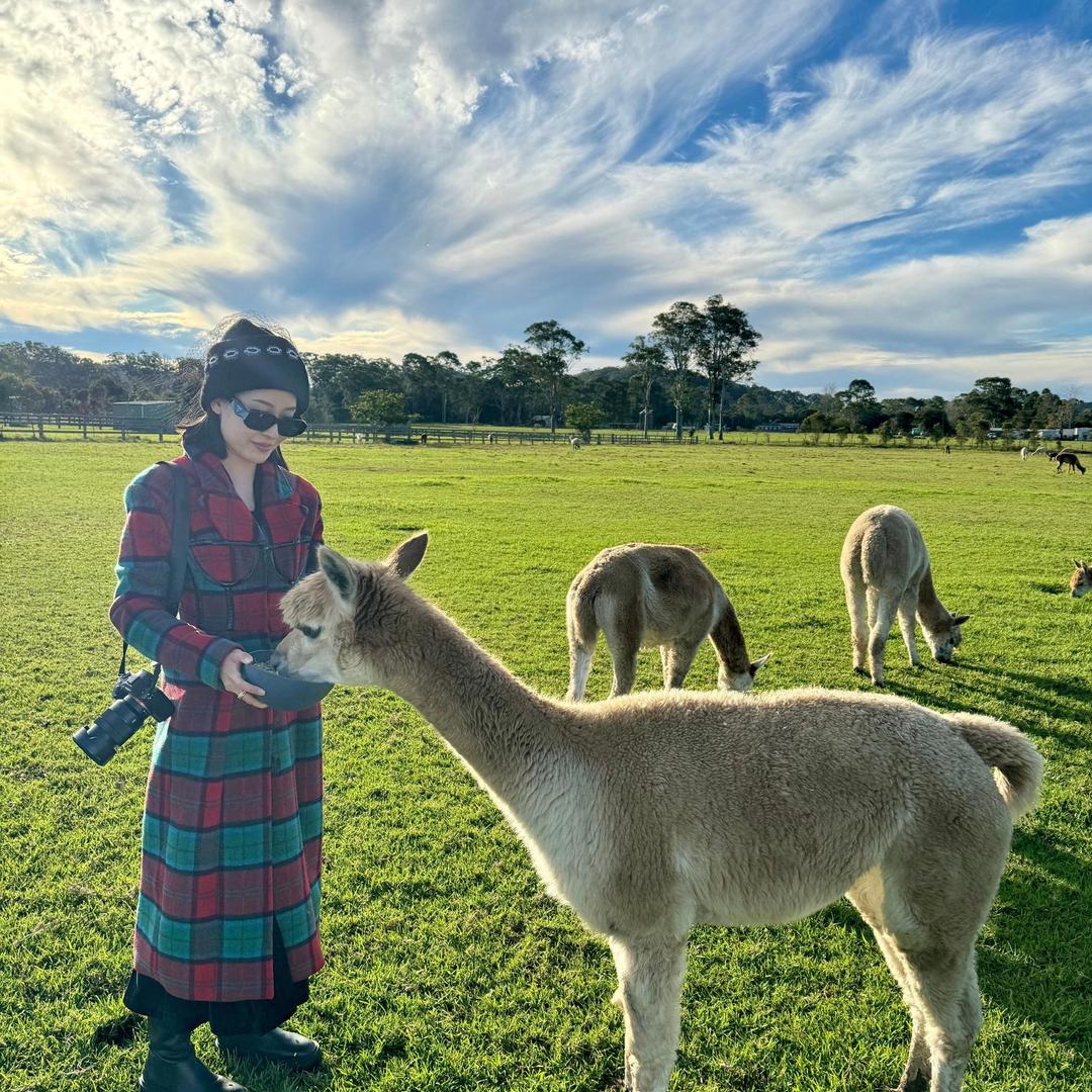 A鹏鹏的萌宠乐园