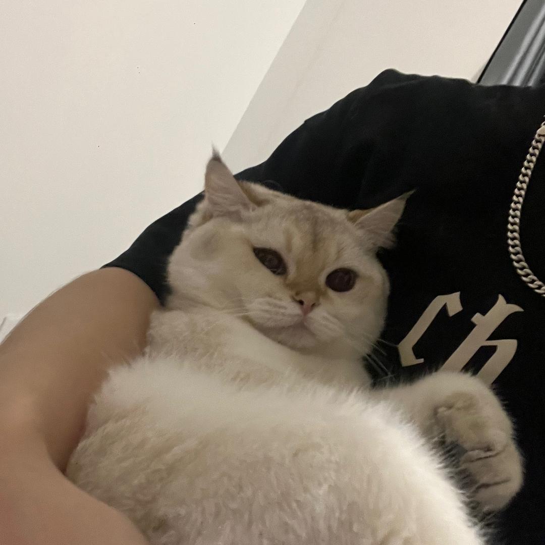 大懒觉