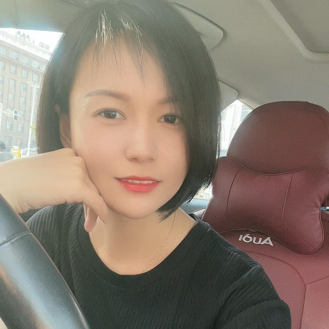懒猫十一