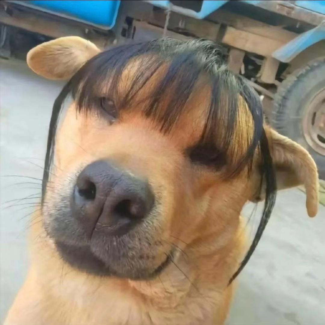 糖醋大脚