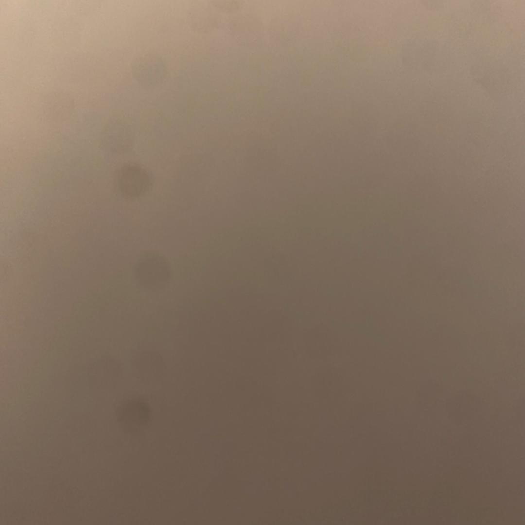 海到尽头天作岸