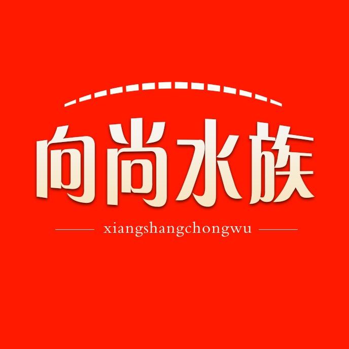 向尚水族
