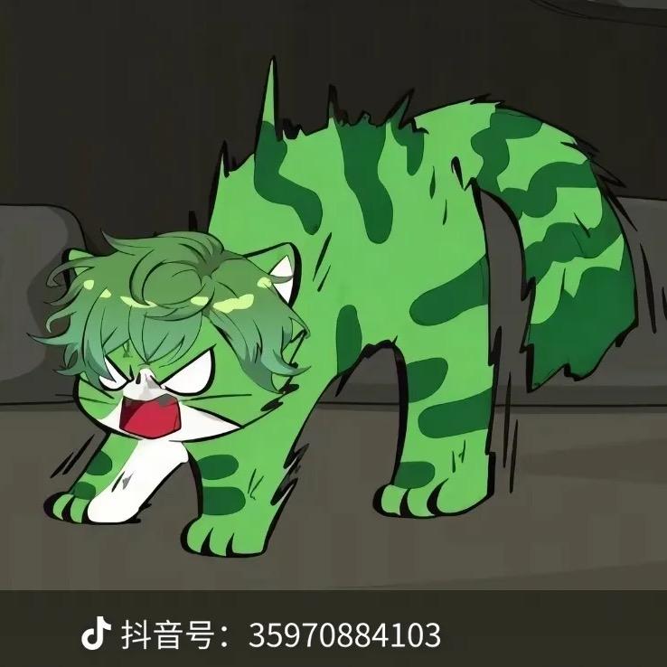 猫猫墨然头像