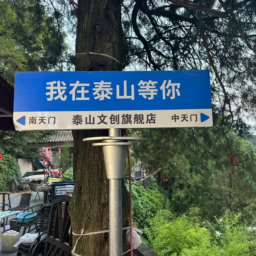 王者江山