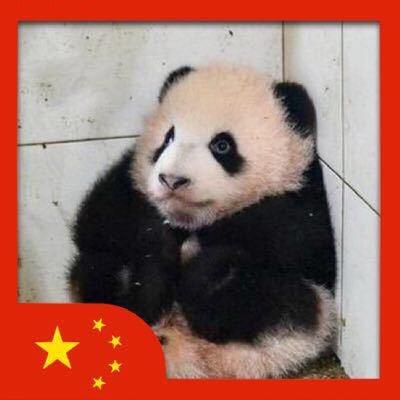 A.罗纳尔多.洋仔