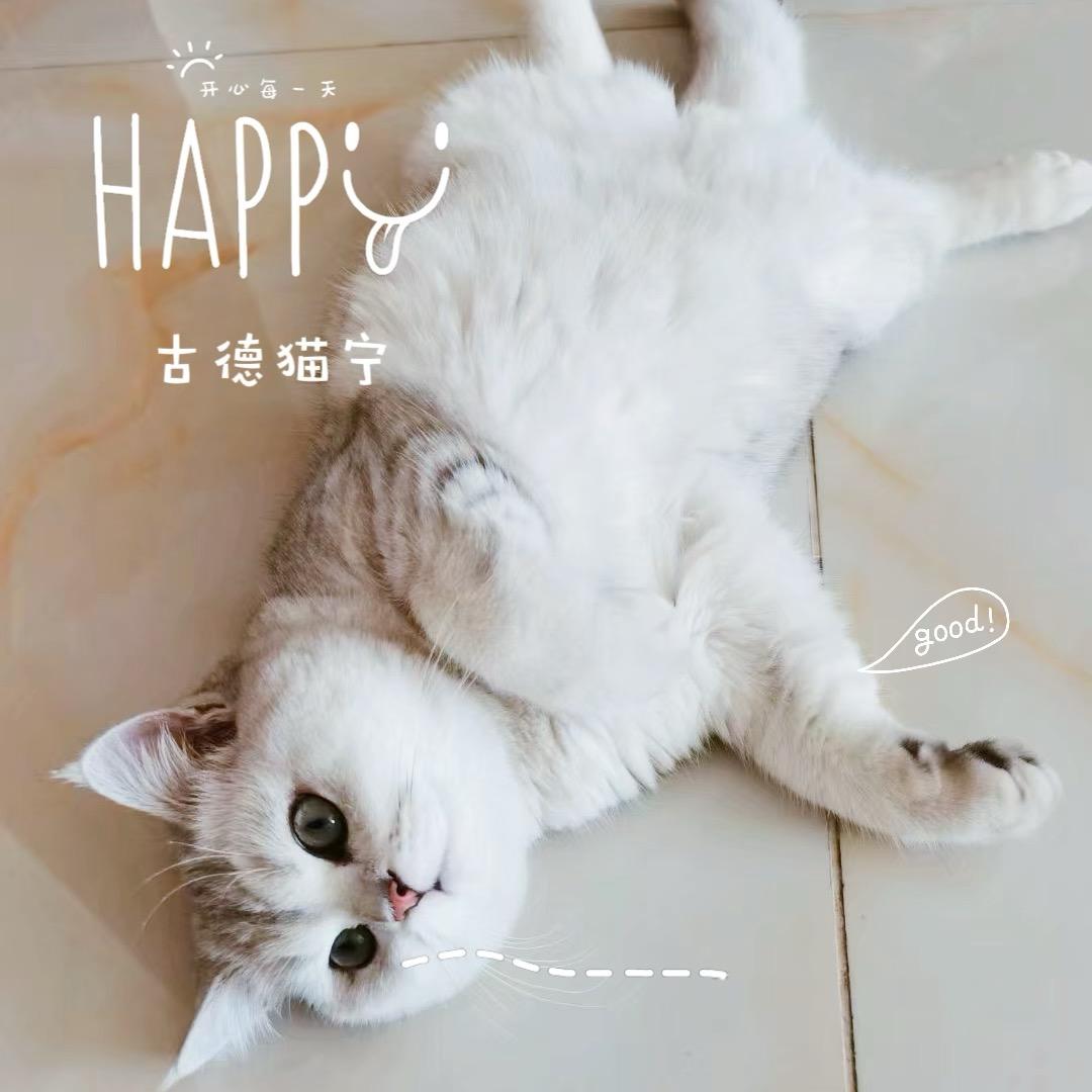 摆烂银2k