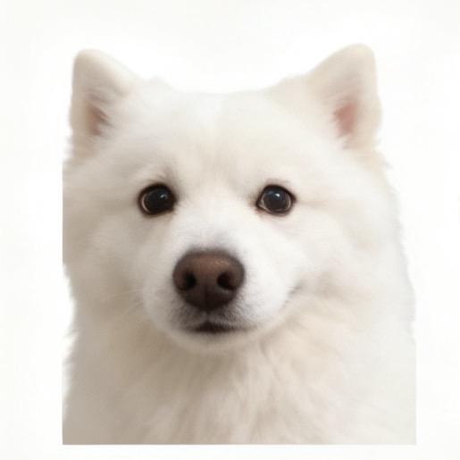 L LL