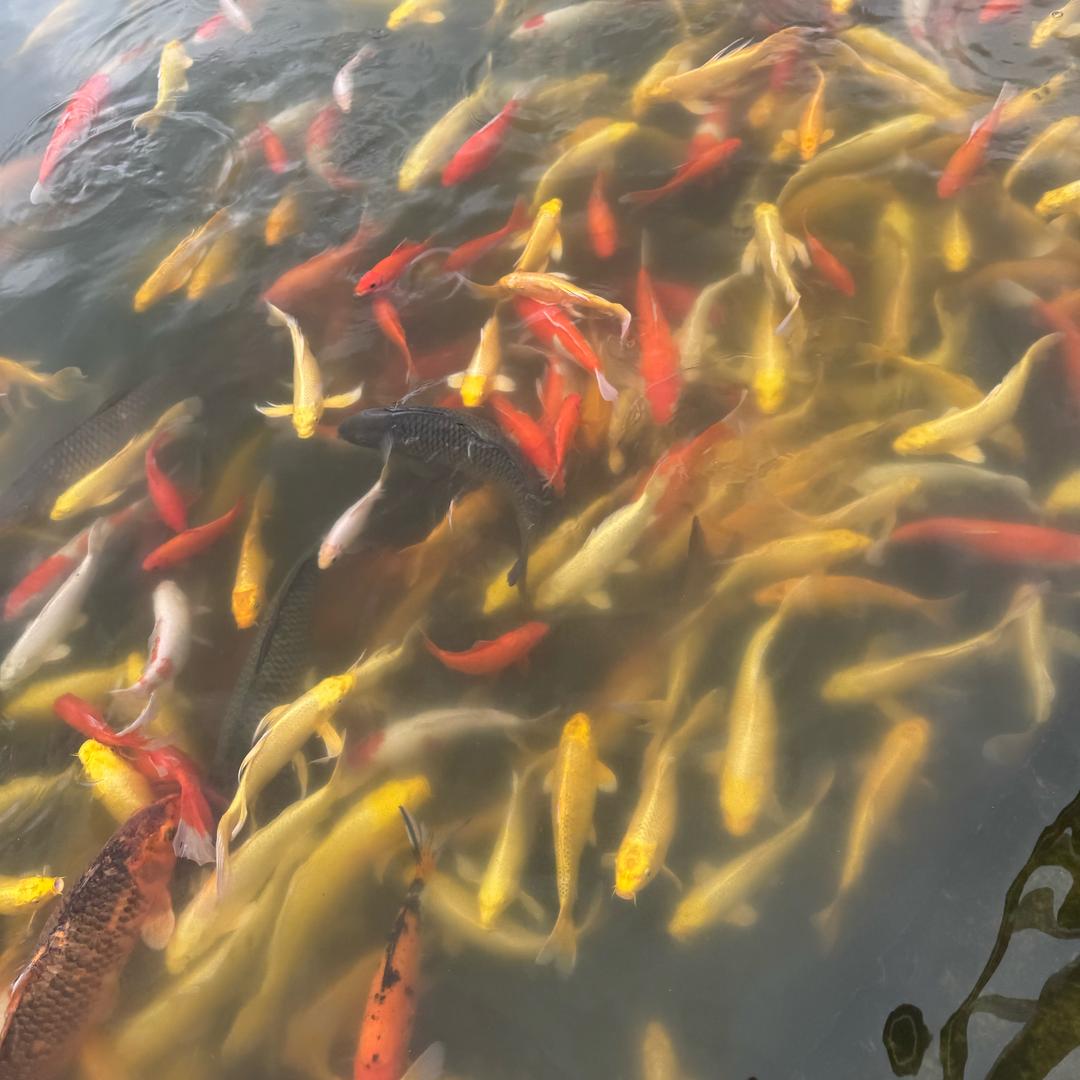 💞ℒᎭℯ⃝任生有孟💕