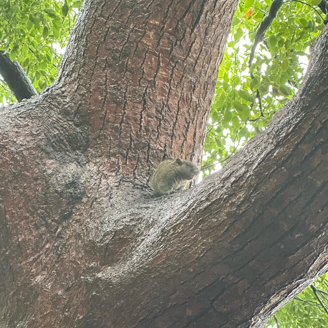 wt謖髑謖髀謖¥/！