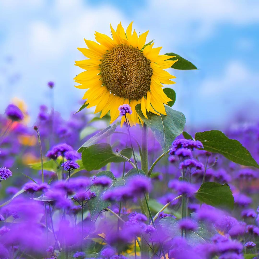 呗热收百货零售店