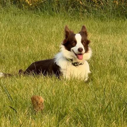 你叔在烫头（反PUA战士）