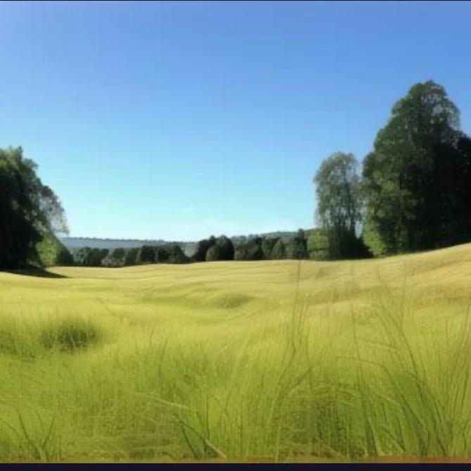 我的心脆如豆腐