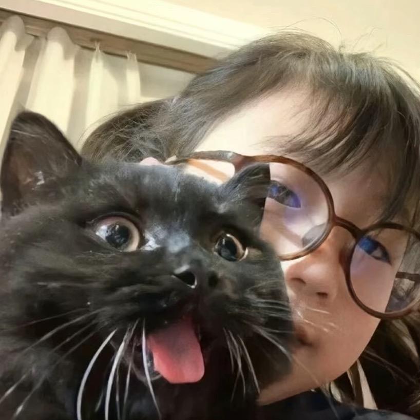 眼泪拌饭^