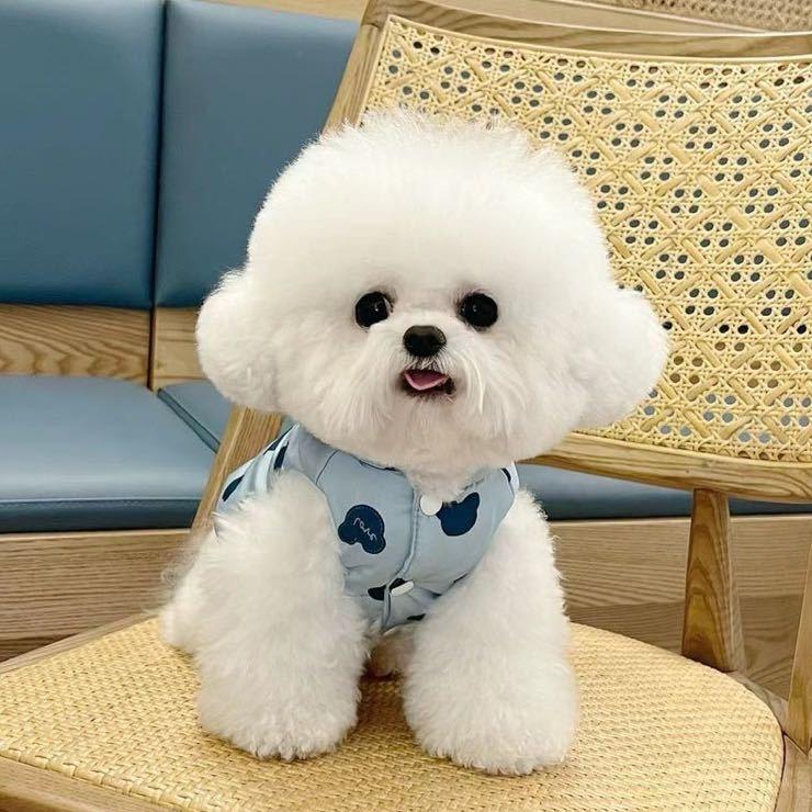 阿强一定旺名宠