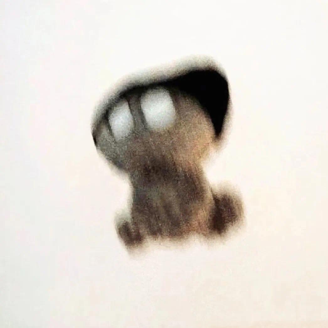 🐼