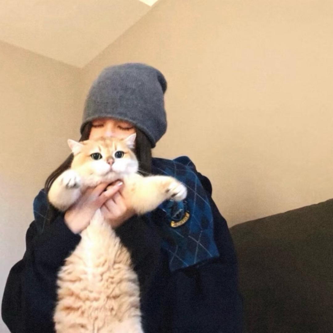 Kitty 笨