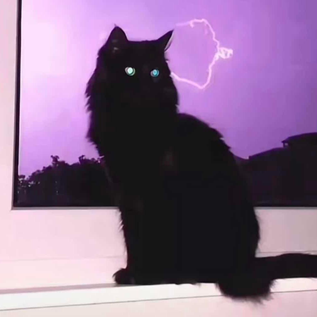 不太想说话