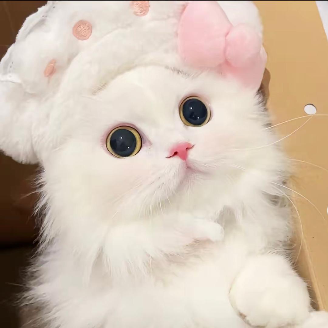 富贵迷人眼