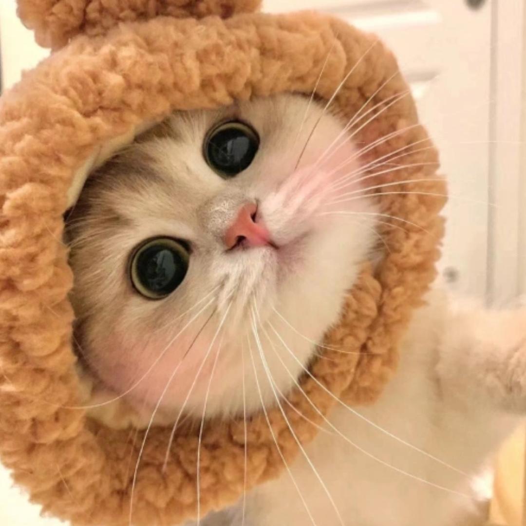 亦依