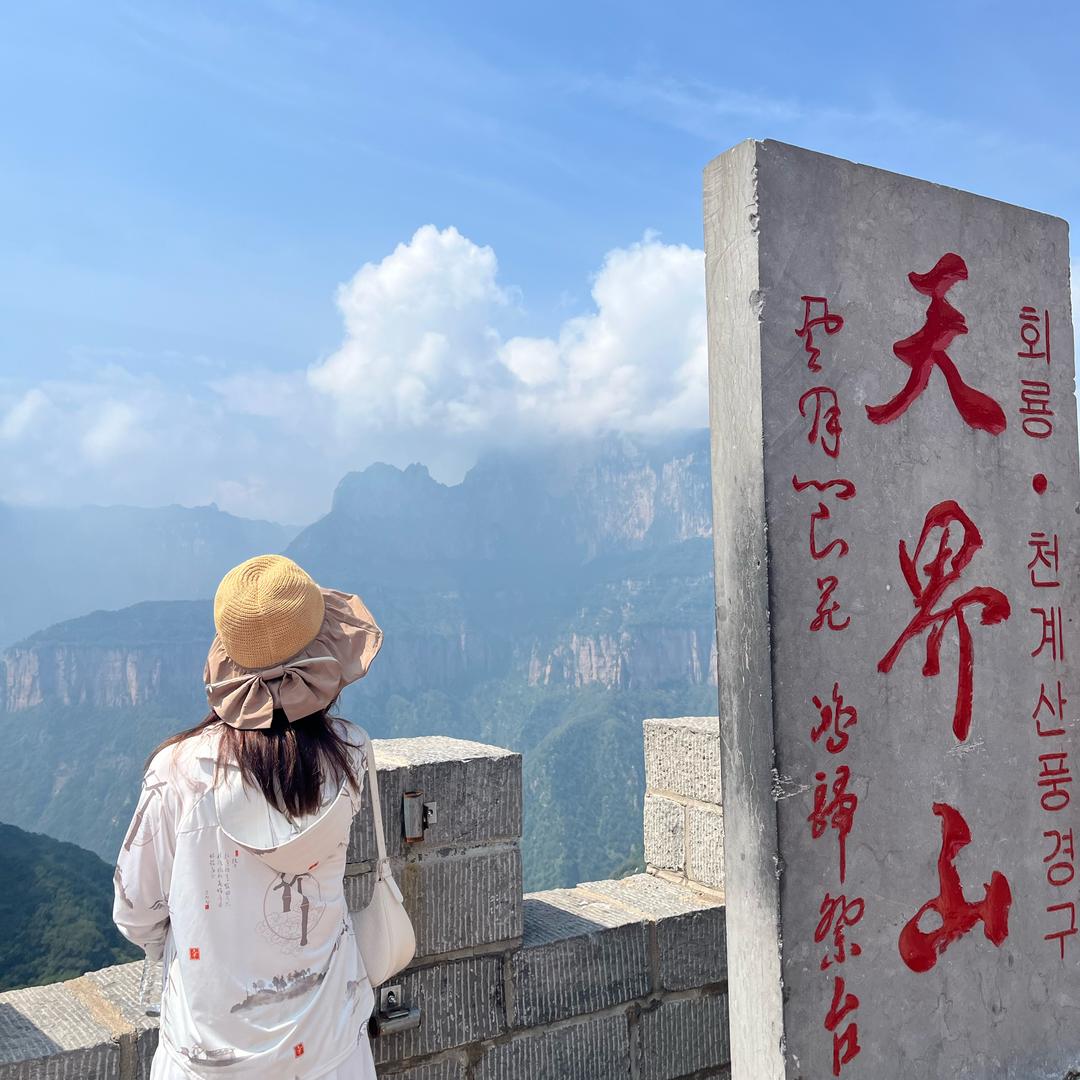 泰诗尔菏泽 Dandan