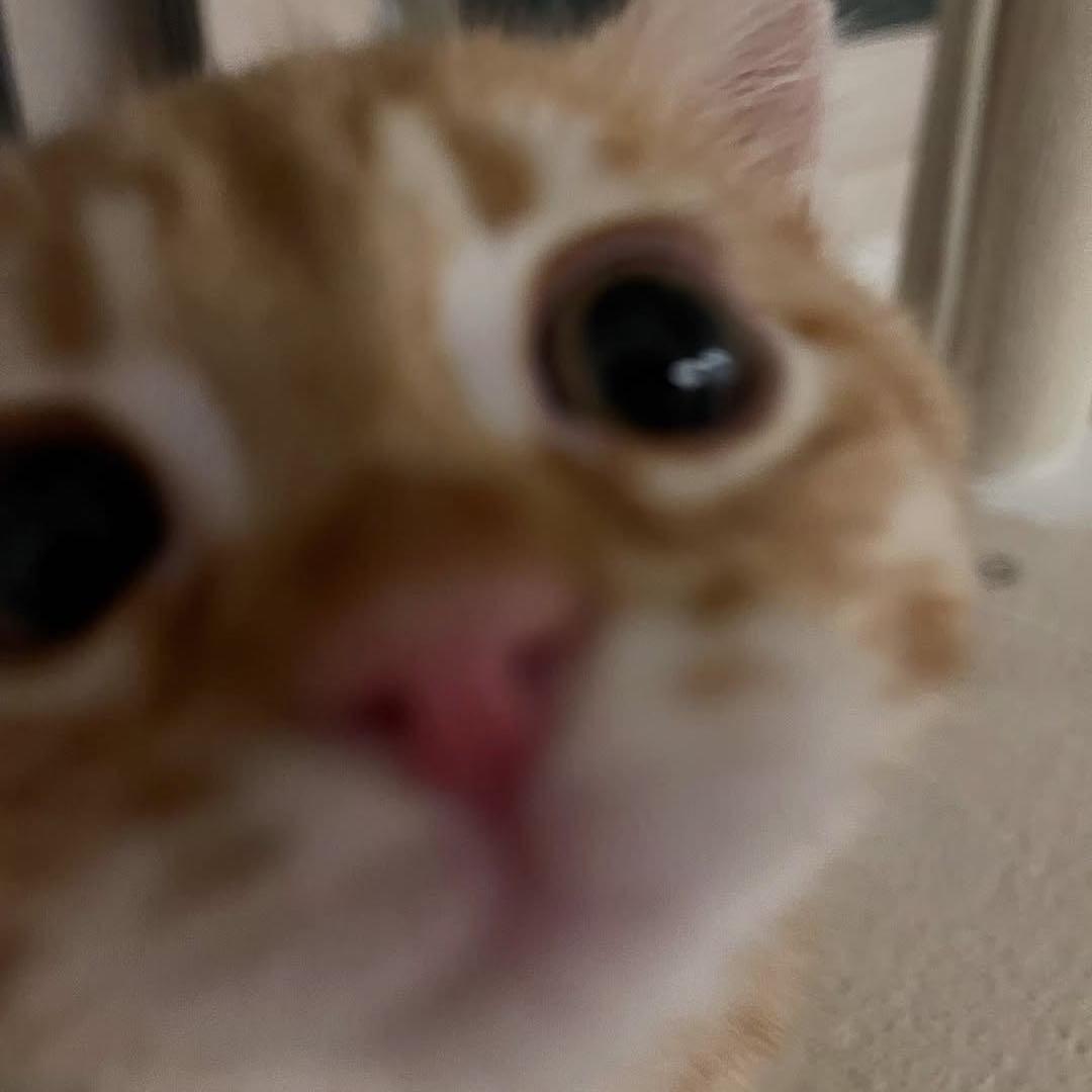 ppz