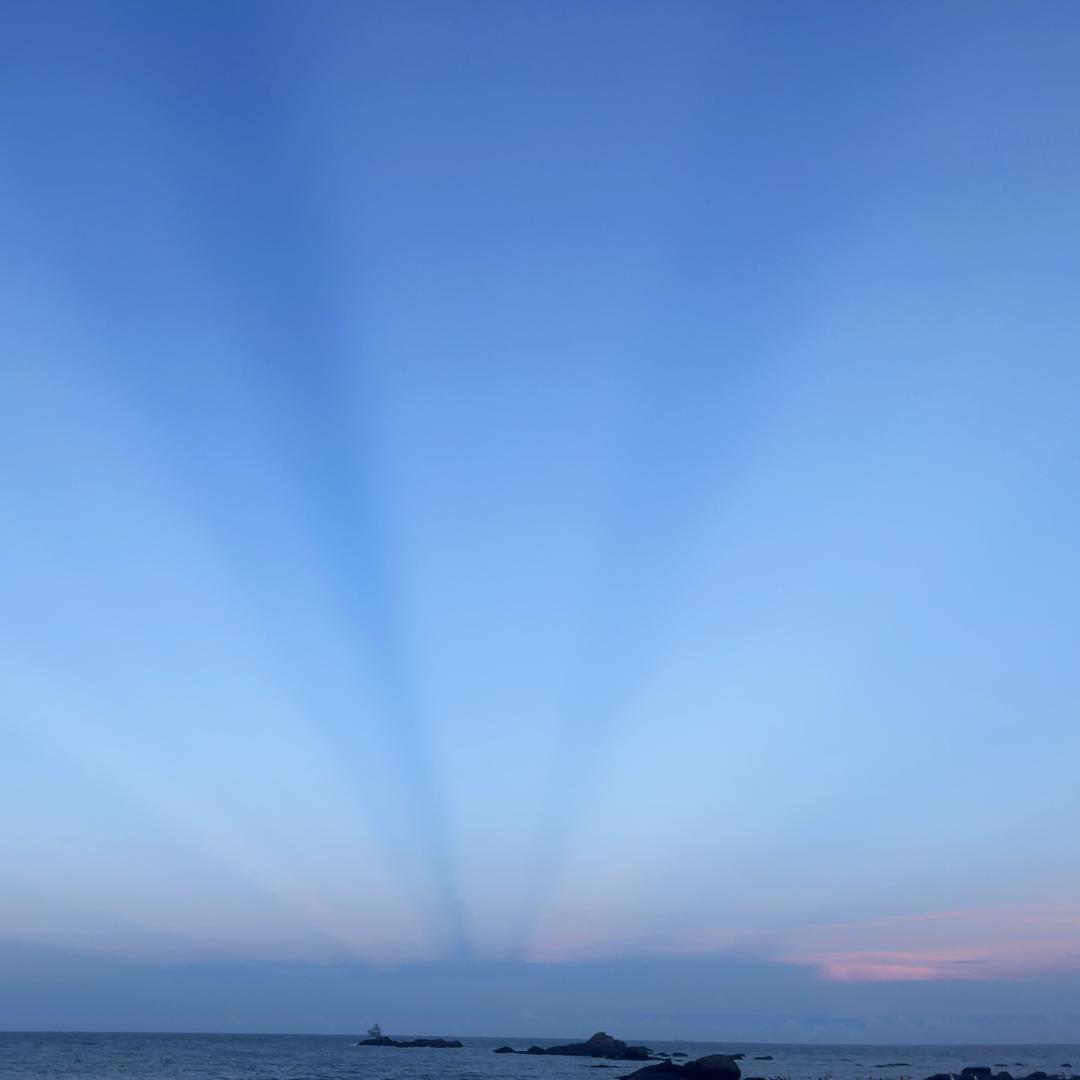 蝴蝶蓝