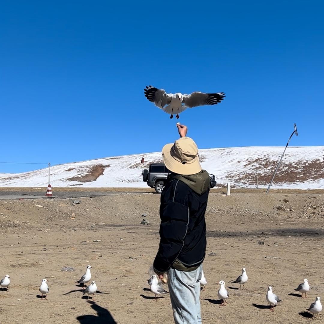 新疆西藏宏程运车