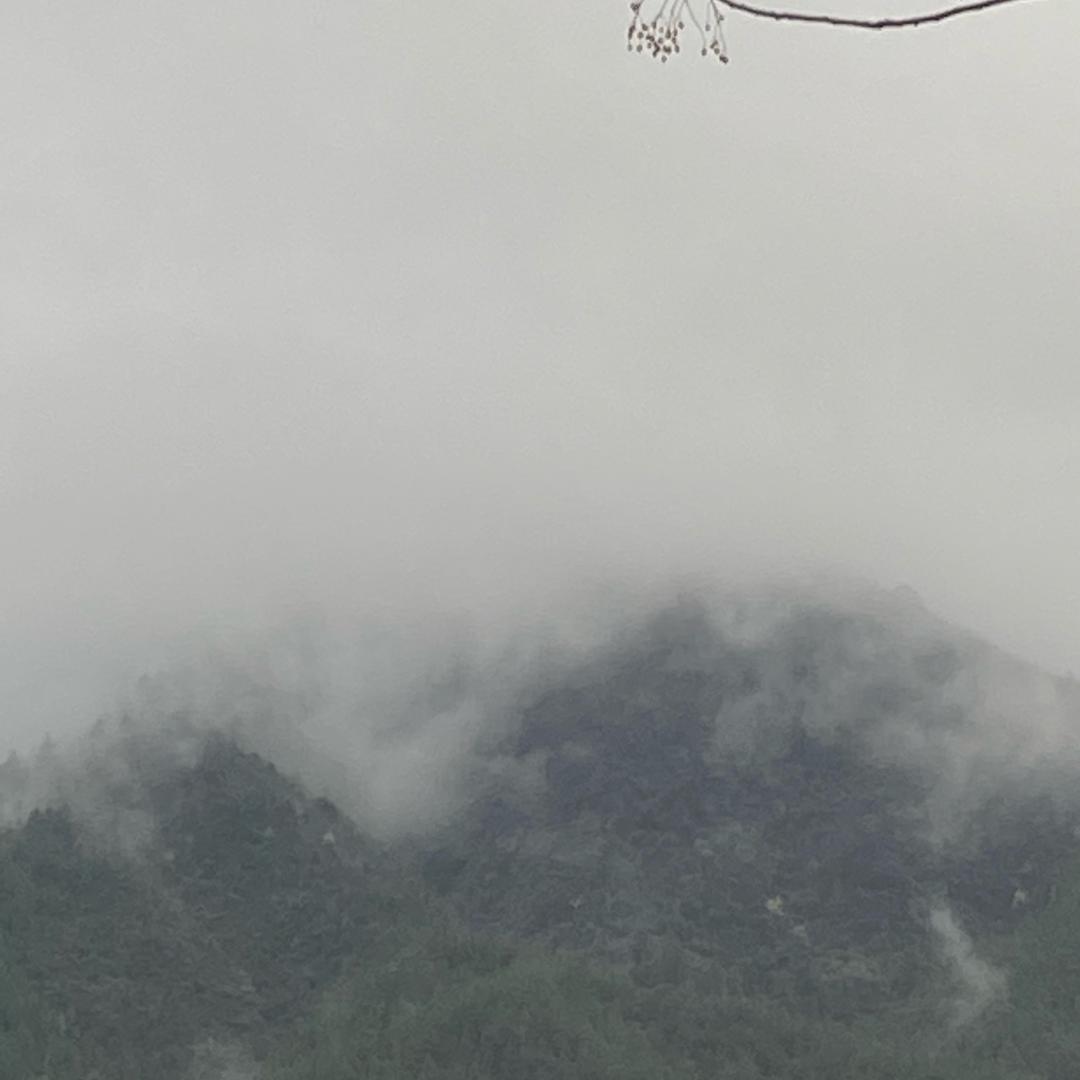 微生物研究所院长