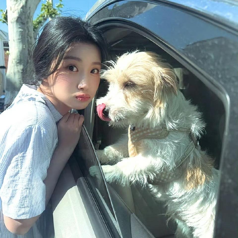愉