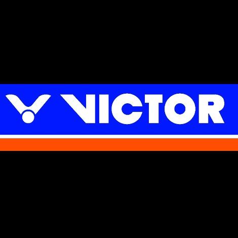 建三江威克多主题羽毛球馆