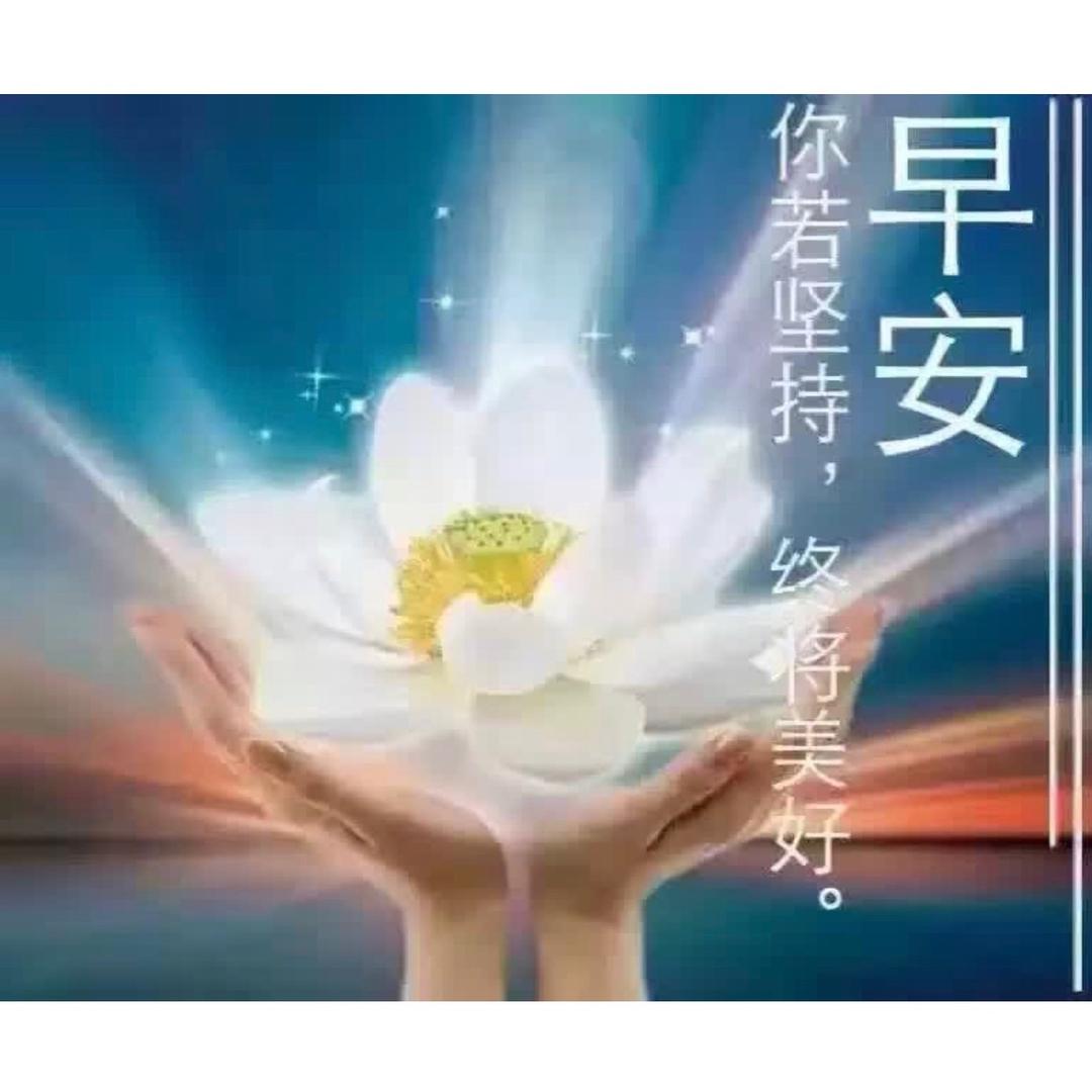 心语