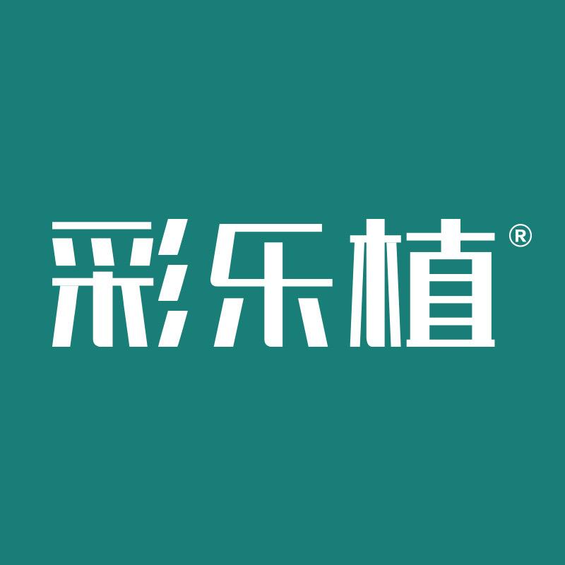 彩乐植官方旗舰店