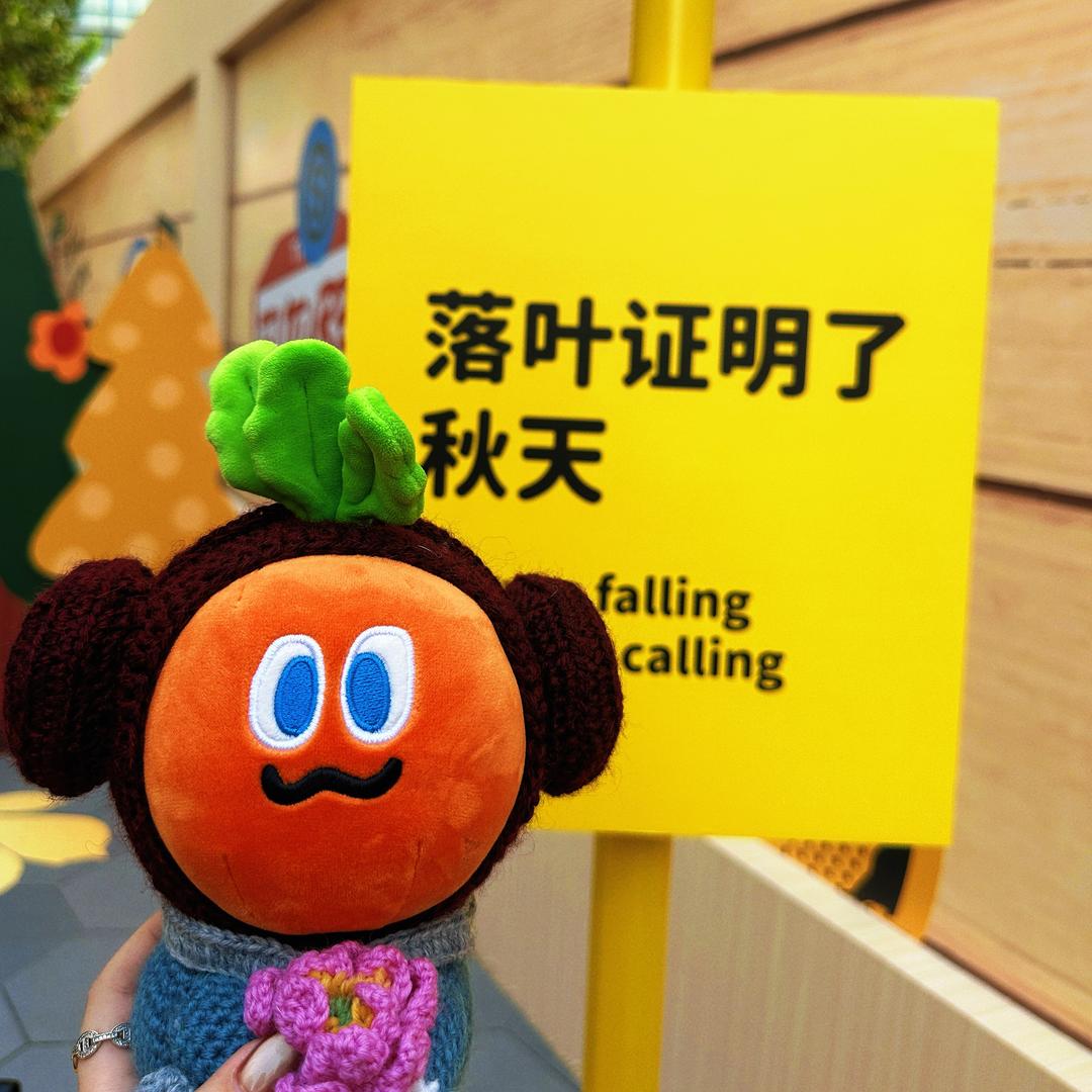 胖达在哪里呀🥕