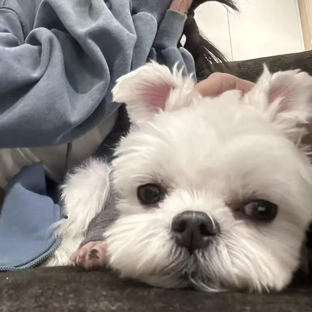 伤心小椰子🥥