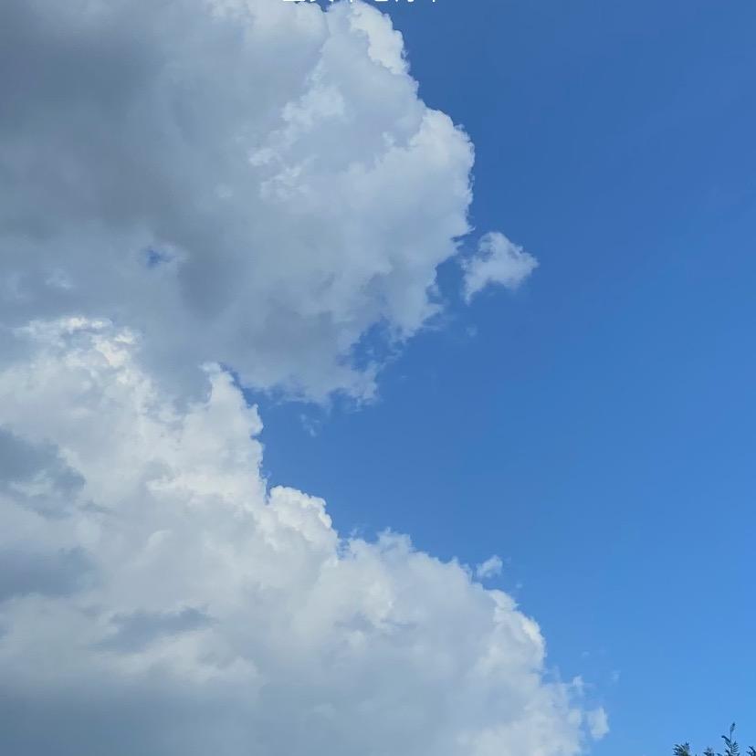 ❄️❄️❄️❄️❄️❄️❄️❄️