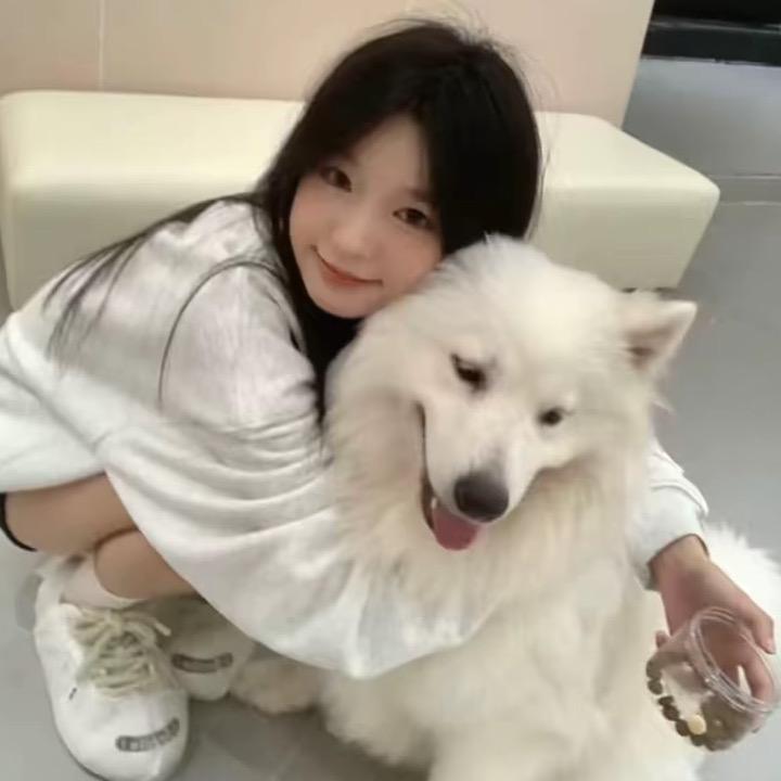 ㅤㅤㅤㅤㅤㅤㅤㅤㅤㅤㅤㅤㅤㅤㅤㅤㅤㅤㅤㅤ